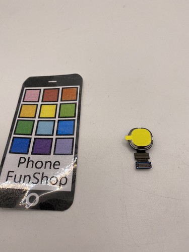 Fotocamera posteriore